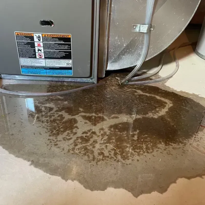 Appliance Leak Cleanup in Broadview, IL